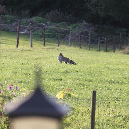 B&B Sol Magnus Stavelot Eksteriør bilde